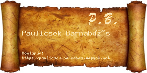 Paulicsek Barnabás névjegykártya