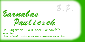 barnabas paulicsek business card